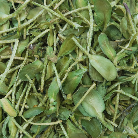 Microgreens